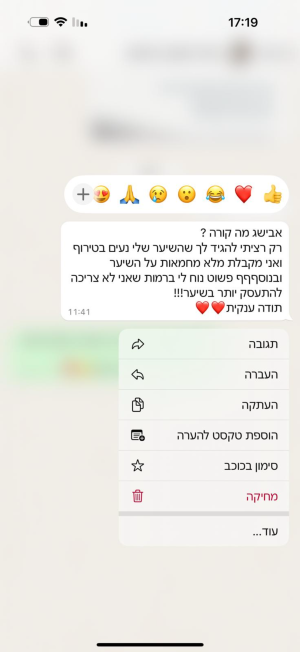 אבישג אלגרסי המרכז הלימודי להחלקות שיער חומר החלקה ״מינרל ג׳נסיס״ החלקה ביתית 