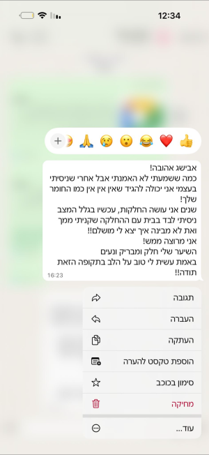 אבישג אלגרסי המרכז הלימודי להחלקות שיער חומר החלקה ״מינרל ג׳נסיס״ החלקה ביתית 