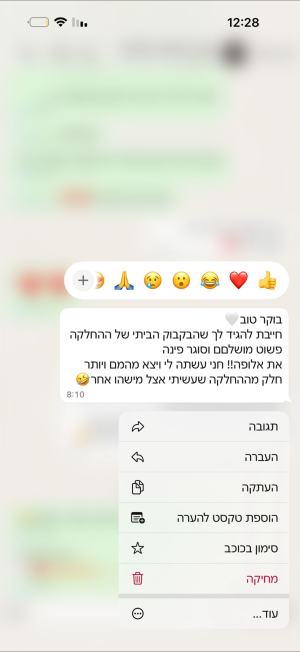 אבישג אלגרסי המרכז הלימודי להחלקות שיער חומר החלקה ״מינרל ג׳נסיס״ החלקה ביתית 